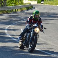 Motorsports